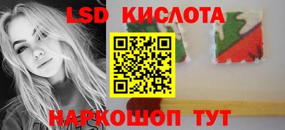 стаф Гай