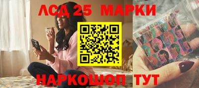 стаф Гай