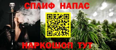 стаф Гай