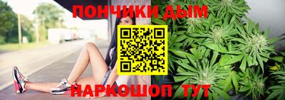 стаф Гай