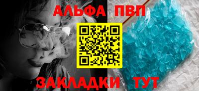 стаф Гай