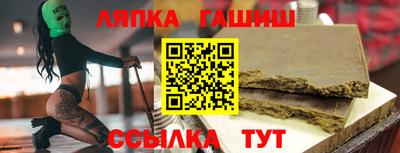 стаф Гай